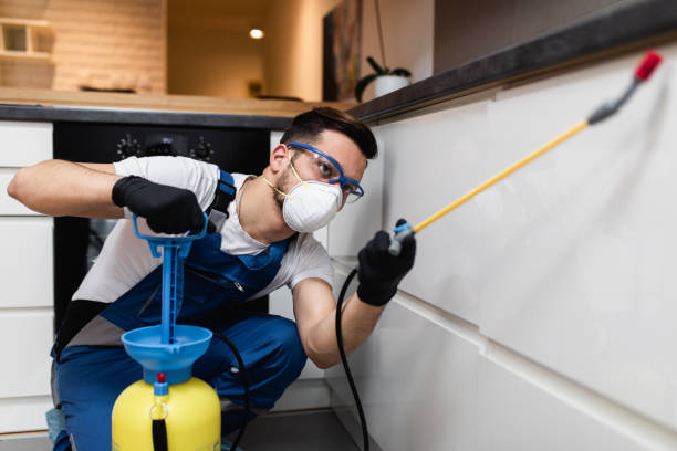 Best Wasp Removal Services  in Cochran, GA