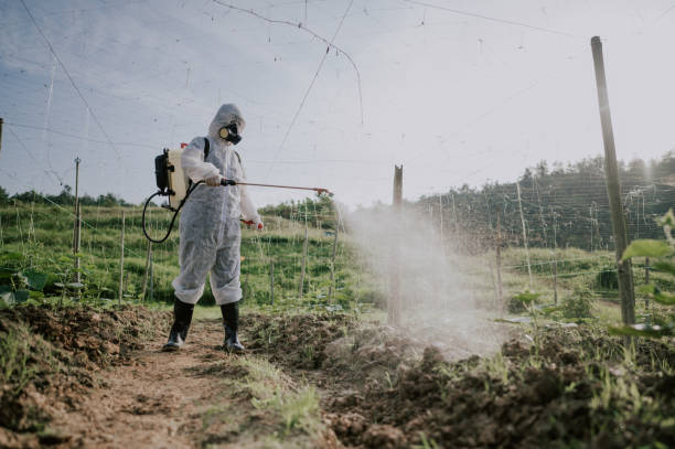 Best Ant Control Services  in Cochran, GA