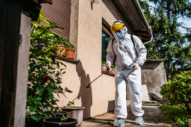 Best Insect Control  in Cochran, GA