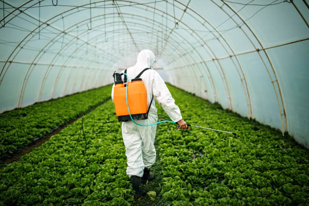 Best Best Pest Control Near Me  in Cochran, GA