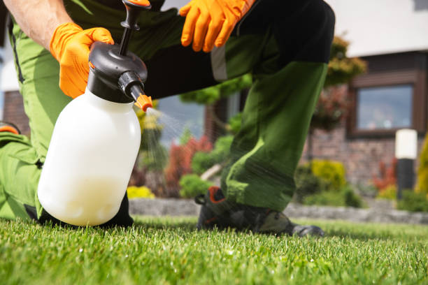 Reliable Cochran, GA Pest Control Solutions