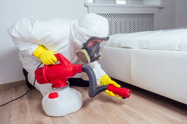 Best Pest Control Near Me in Cochran, GA