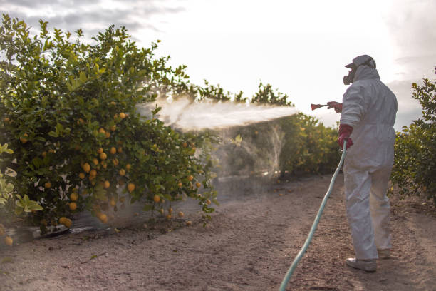 Best Mosquito Control Services  in Cochran, GA