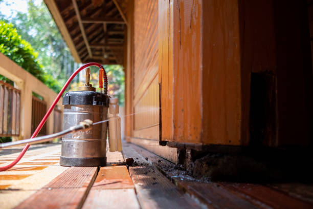 Best Local Pest Control Services  in Cochran, GA