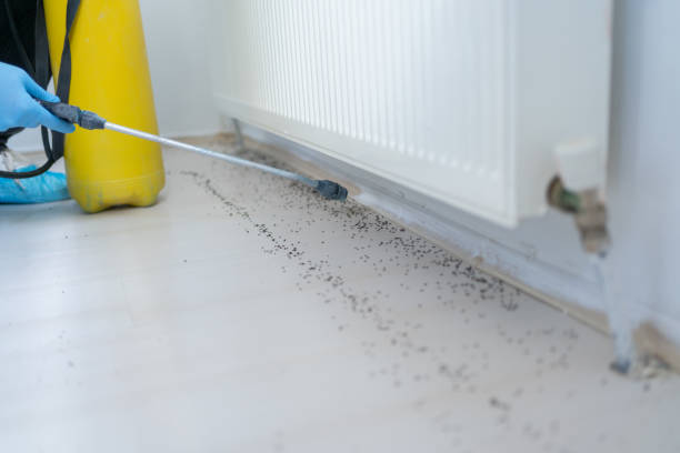 Reliable Cochran, GA Pest Control Solutions