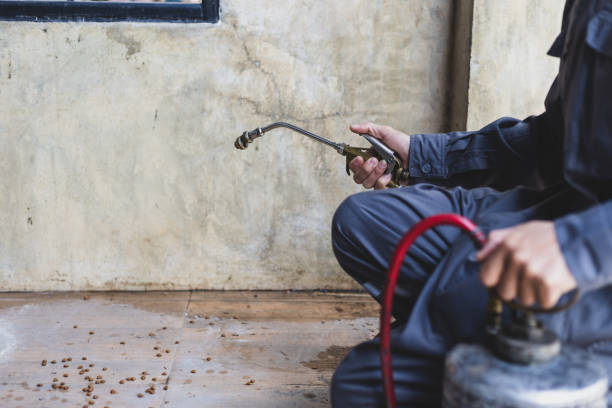 Pest Control for Restaurants in Cochran, GA